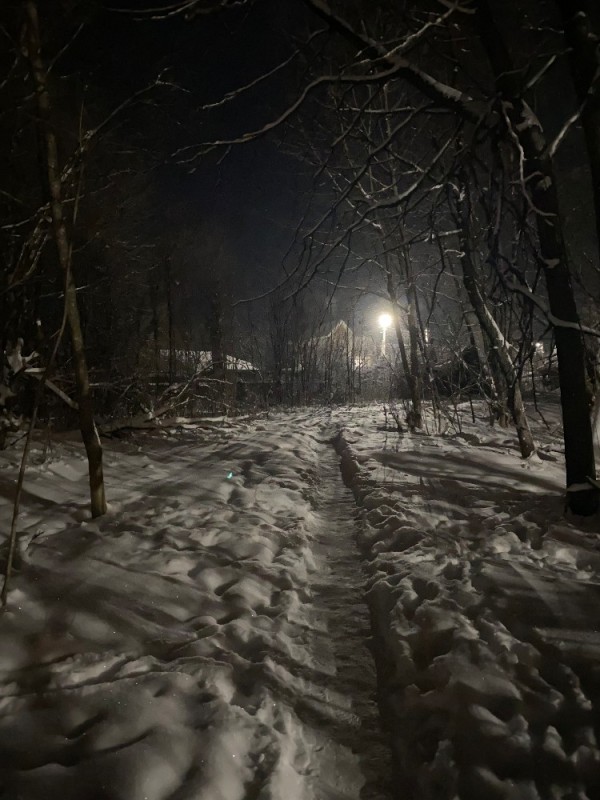 Create meme: night winter forest, winter night path, fog in winter at night