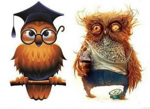 Create meme: the end of the school year, owl twitching eye, wise owl
