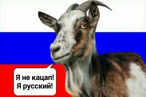 Create meme: goat funny, goat, goat