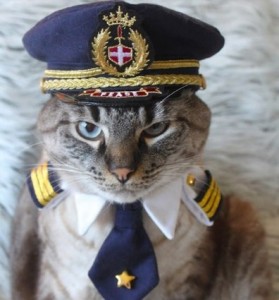 Создать мем: международный день гражданской авиации, кот пилот