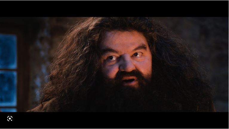 Create meme: Robbie Coltrane is Hagrid, rubeus hagrid, Hagrid from Harry