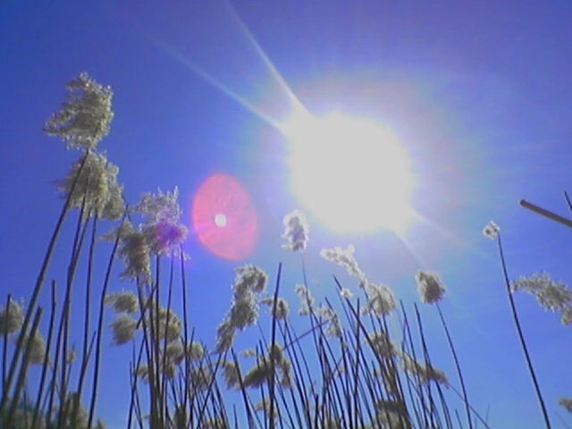 Создать мем: небо трава, летнее небо, небо солнце
