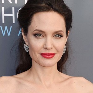 Create meme: Angelina Jolie