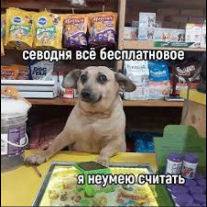 Create meme: The dog behind the counter, The dog seller, homeless animals 