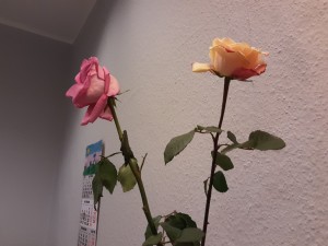 Create meme: rose gently, decorative rose, artificial rose Dutch
