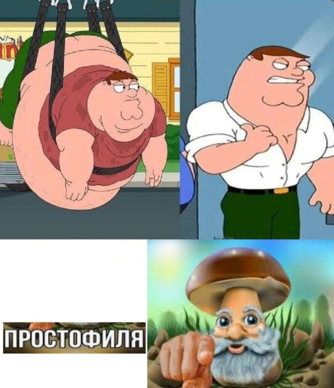 Create meme: Family Guy season 15, meme Peter Griffin, peter griffin is fat