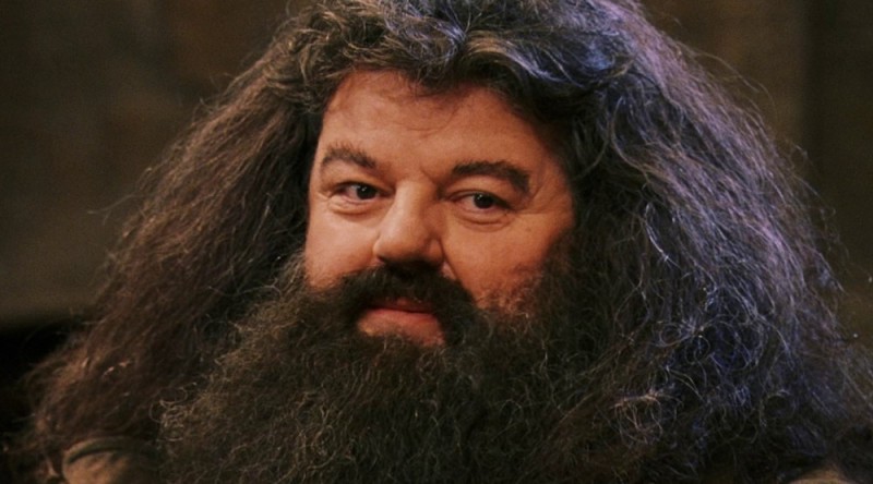 Create meme: rubeus hagrid, hagrid the actor, Hagrid Harry Potter