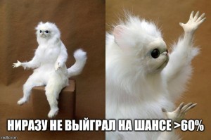 Create meme: cat, white stuffed animal meme, stuffed white cat meme
