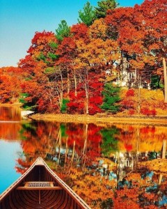 Create meme: autumn nature, beautiful autumn, autumn