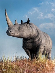 Создать мем: белый носорог, суматранский носорог, западный африканский носорог