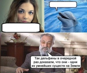 Создать мем: Дельфин