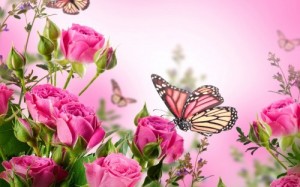 Create meme: beautiful cards with flowers butterflies, beautiful flowers, butterflies flowers