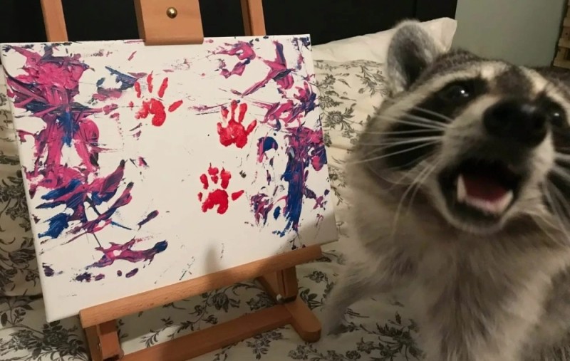 Create meme: raccoon art, raccoon animal , raccoon 
