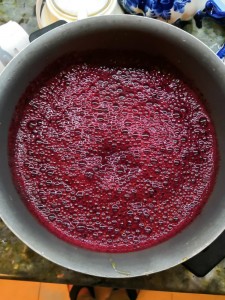 Create meme: pulp grape, jam from viburnum, five minutes of currants