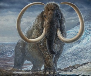 Создать мем: шерстистый мамонт бивни, ледниковый период мамонты вымерли, ледниковый период мамонт