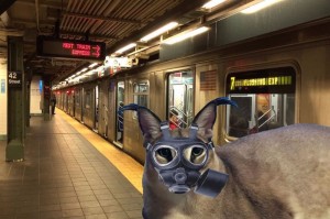 Создать мем: subway station, поезд метро, нью-йоркский метрополитен