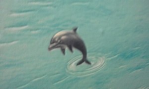 Create meme: dolphin, Happy Dolphin