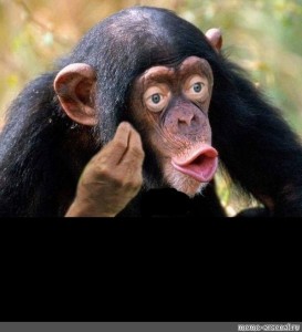 Create meme: male chimpanzees, monkey with lips, chimp meme