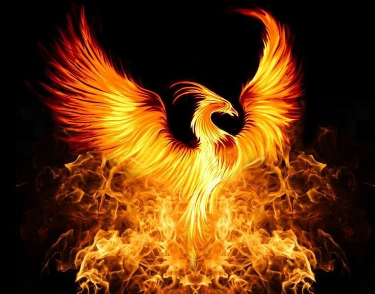 Create meme: Phoenix , Phoenix , simurg the phoenix bird