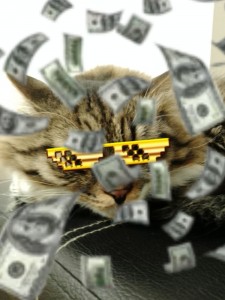 Создать мем: коты, котенок с деньгами, кот