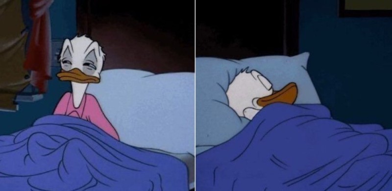 Create meme: Donald duck sleeping, The meme woke up in the middle of the night, Donald duck memes