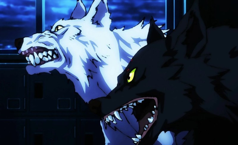 Create meme: wolf rain, anime wolf, anime characters