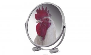Create meme: cock stock, the mirror, rooster alarm clock