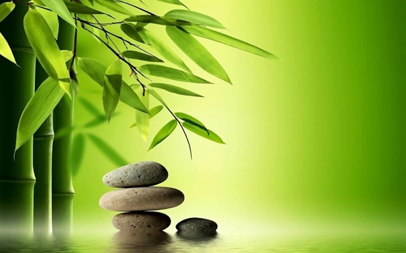 Create meme: bamboo wallpaper, bamboo and stones, bamboo background