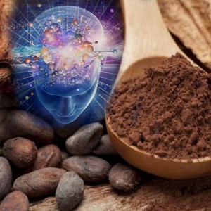 Create meme: picture of chocolate and cocoa powder, cocoa nut, cocoa