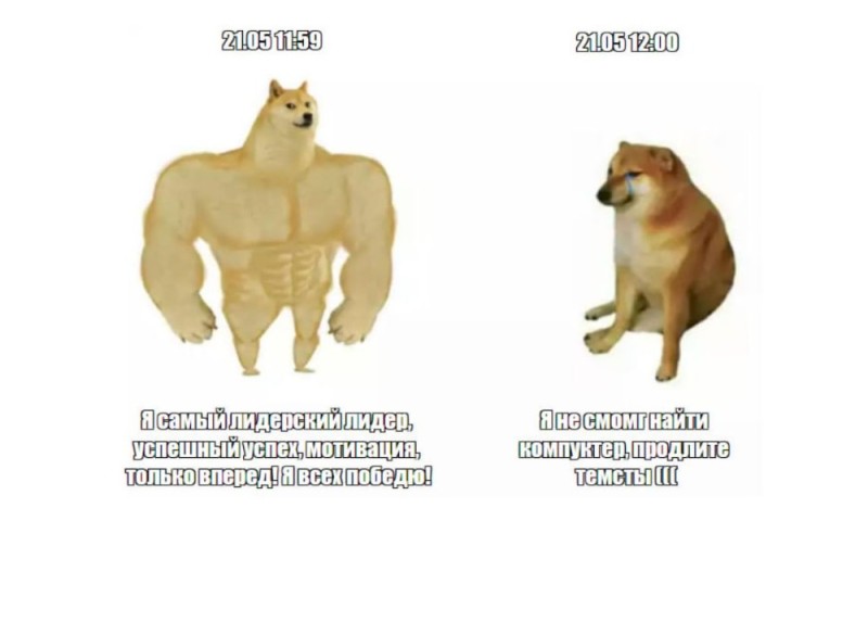 Create meme: dog Jock meme, inflated dog meme, shiba inu meme jock
