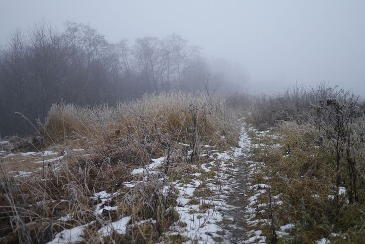 Create meme: landscape predzimye, winter field, nature 