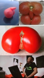 Create meme: tomato, Pomidorka
