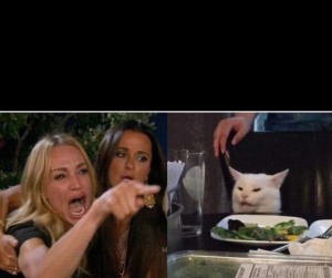 Создать мем: две девушки кричат на кота мем, woman yelling at cat meme, женщина кричит на кота мем