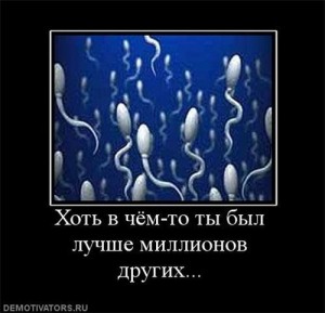 Create meme: sperm quality and long-term abstinence, photos of spermatozoid, chemotaxis of sperm