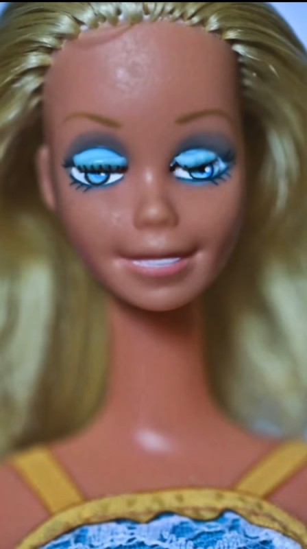 Создать мем: barbie barbie, барби голова 1980, барби