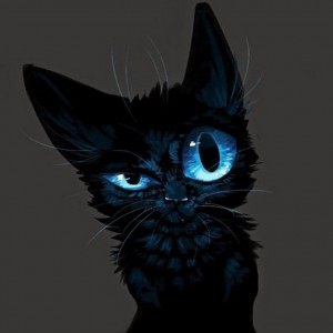 Create meme: cats, cat, kitty black