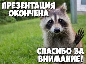 Create meme: raccoon gargle, raccoon, the raccoon smiles