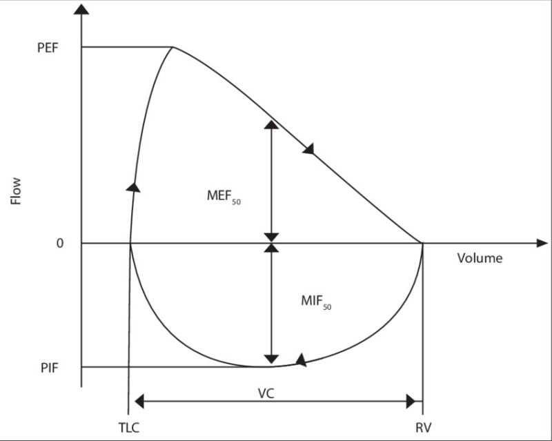 Создать мем: кривая поток объем, flow volume loop, гистерезис