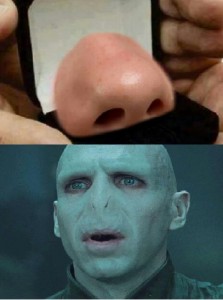 Create meme: harry potter voldemort, Harry Potter