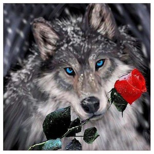 Создать мем: волк красный, фото волк и волчица и розы, волк с розой во рту