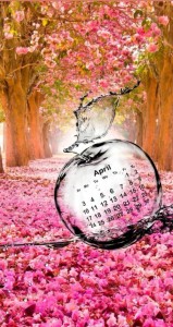 Create meme: floral background, flowering trees, pink flowers