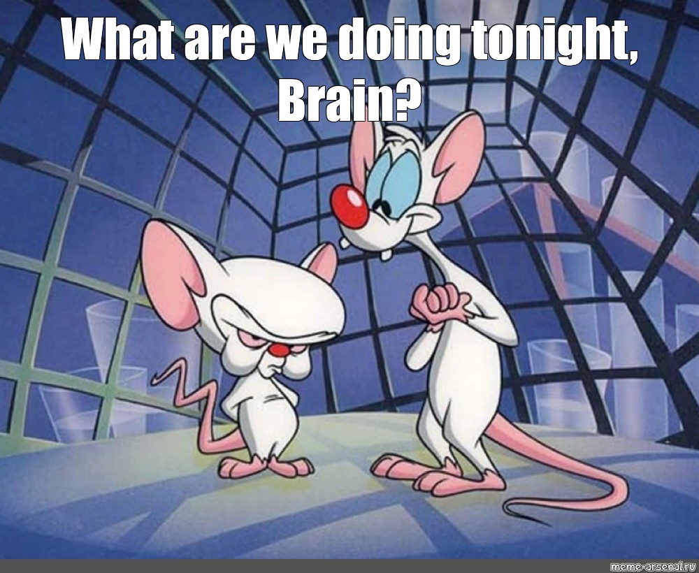Meme: "cartoon mice pinky and brain, pinky and the brain animated ser....