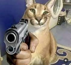 Создать мем: каракал животное, шлепа с пистолетом, шлепа кот