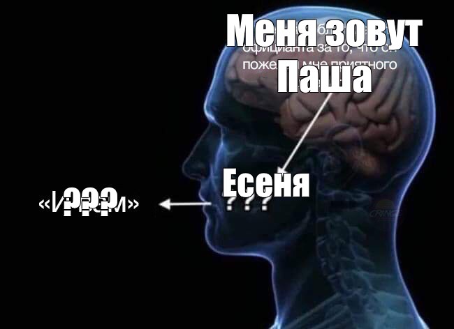 Мозги над головами