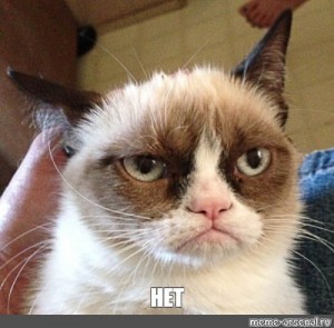 Create meme: the grumpy cat, gloomy cat, unhappy cat meme