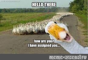 Create meme: funny goose
