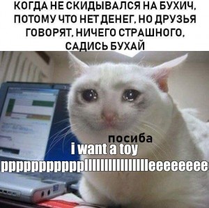 Создать мем: crying cat, плачущий кот мем шаблон, meme