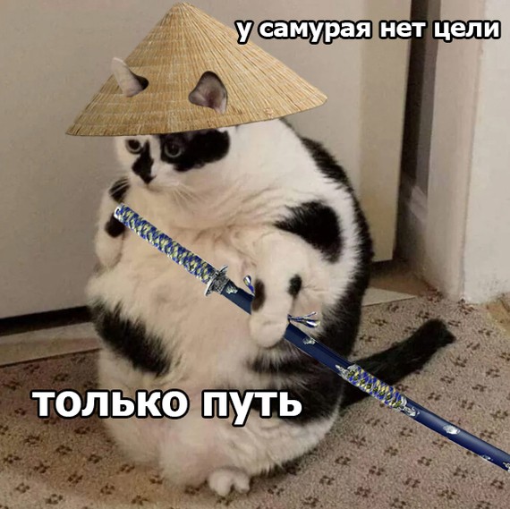 Создать мем: смешные, кот, у самурая нет цели только