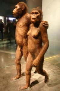 Create meme: origin person, a million years ago, australopithecus afarensis