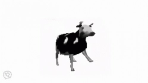 Создать мем: корова, польская корова флексит, польская корова